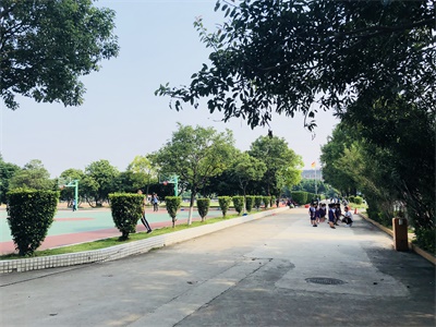 环境3